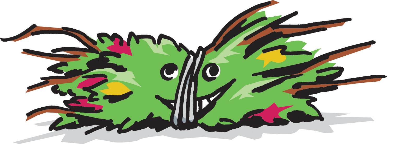 Wertstoffhof in Schifferstadt am 10.02.2026 geschlossen.